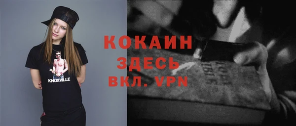 твердый Алексин