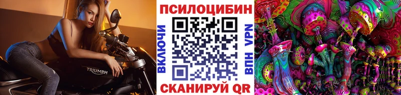Псилоцибиновые грибы GOLDEN TEACHER  где можно купить   Казань 