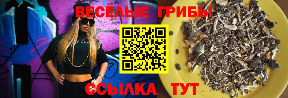 Псилоцибиновые грибы MAGIC MUSHROOMS Казань